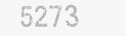 Visual security code — type the characters shown in the image