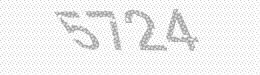 Visual security code — type the characters shown in the image